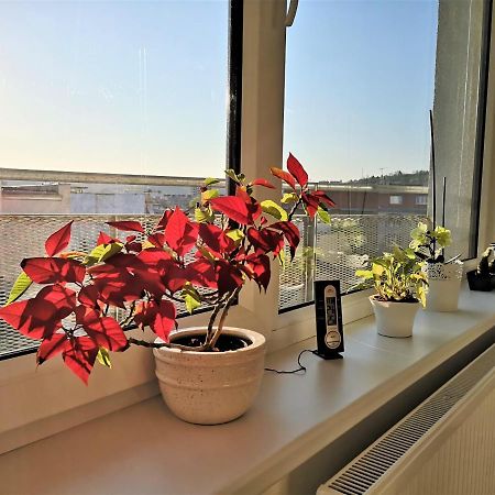 New Apartment With Garage Parking Бърно Екстериор снимка