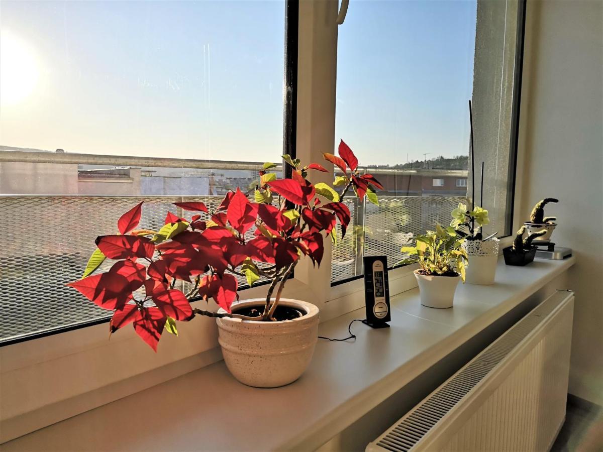 New Apartment With Garage Parking Бърно Екстериор снимка